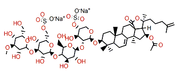 Okhotoside B2